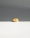 Saturn Ring in Gold - Corail Blanc