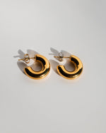 Mini Bold Hoops in Gold - Corail Blanc